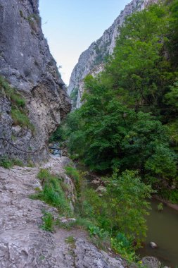 Romanya 'daki Turda Vadisi' nde yaz sabahı