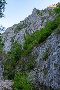 Romanya 'daki Turda Vadisi' nde yaz sabahı