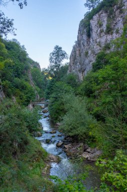 Romanya 'daki Turda Vadisi' nde yaz sabahı