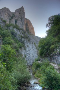 Romanya 'daki Turda Vadisi' nde yaz sabahı