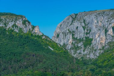 Romanya 'daki Turda Vadisi Panorama Manzarası