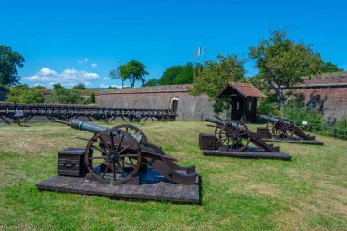 Romanya 'daki Alba Iulia kalesinde silahlar