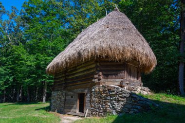 Romanya 'nın Sibiu kentindeki Astra etnografi müzesinde tarihi evler