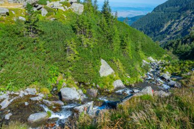 Cascada Balea Romanya 'da güneşli bir günde izlendi