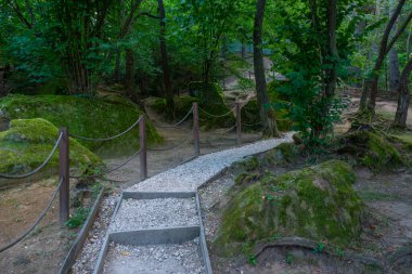 Romanya 'da Izvorul Buna Vestire baharı