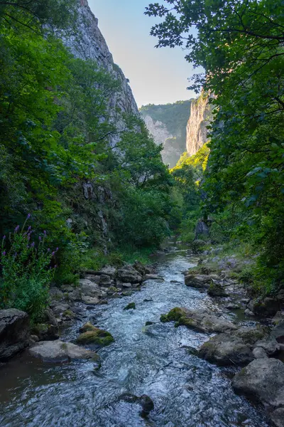 Summer Morning Turda Gorge Romania — Stock Photo, Image