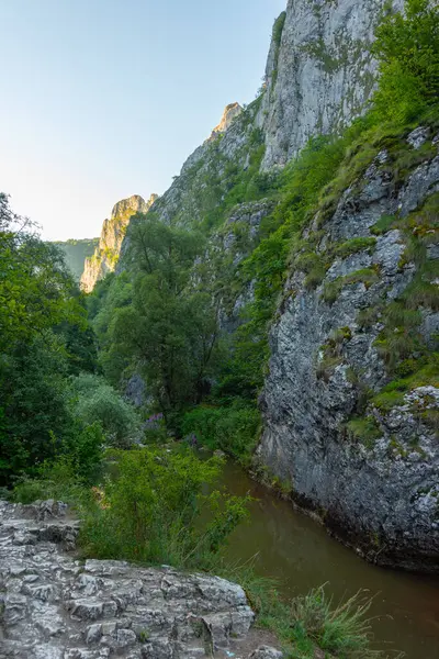 Summer Morning Turda Gorge Romania — Stock Photo, Image