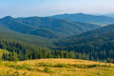 Romanya 'da Ciumarna Geçidi' nde yaz günü