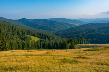 Romanya 'da Ciumarna Geçidi' nde yaz günü