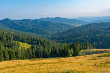 Romanya 'da Ciumarna Geçidi' nde yaz günü