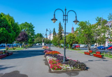 Romanya 'daki Targu Mures' in merkezinde uzun bir park