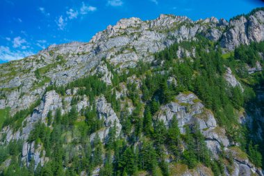 Romanya 'daki Bucegi dağlarında yaz günü