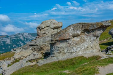 Romanya 'nın Bucegi dağlarında Bucegi sfenksi
