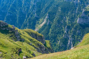 Romanya 'daki Bucegi dağlarında yaz günü