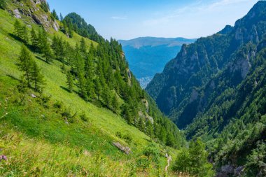 Romanya 'nın Busteni köyü yakınlarındaki Bucegi dağlarına giden Caraiman Vadisi' nde yaz günü