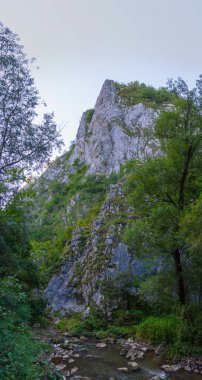 Romanya 'daki Turda Vadisi' nde yaz sabahı
