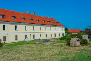 Sırp Petrovaradin kale kasaba novi sad