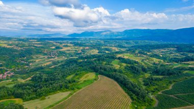 Sırbistan kırsalında yaz günü