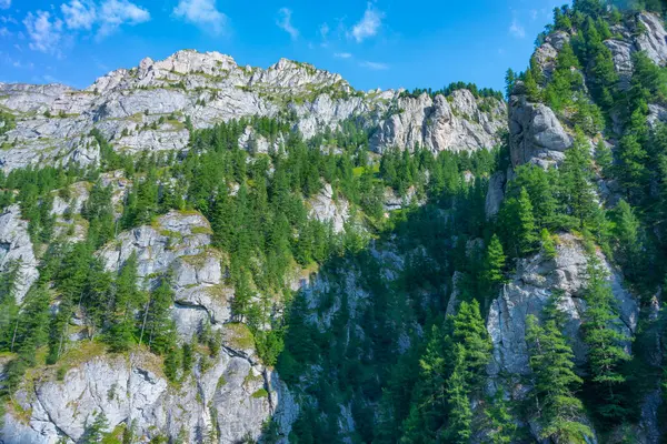 Romanya 'daki Bucegi dağlarında yaz günü