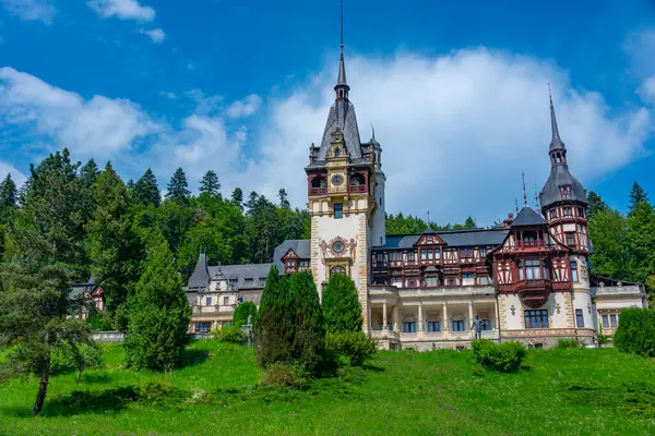stock image Summer day at Peles castle in Romania