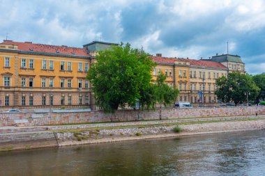 Sırbistan 'daki Nis Üniversitesi Görüşü
