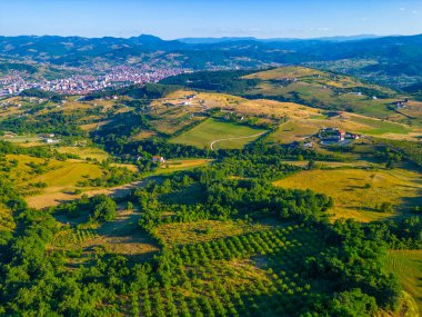 Sırbistan kırsalında yaz günü