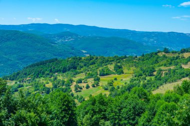 Sırbistan 'ın Zlatibor kırsalında yaz günü