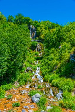 Yaz güneşli bir günde Sırbistan 'da Sopotnica şelalesi