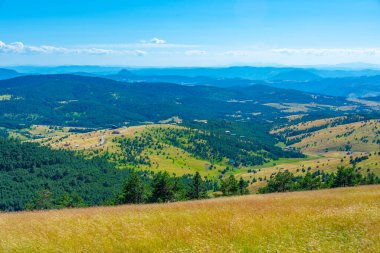 Sırbistan 'ın Zlatibor kırsalında yaz günü