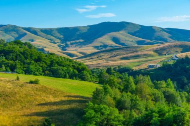 Sırbistan 'ın Zlatibor kırsalında yaz günü