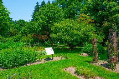 Slovenya 'nın başkenti Ljubljana' daki botanik bahçesi