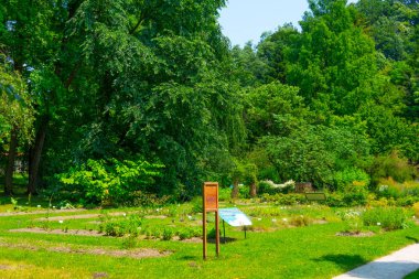 Slovenya 'nın başkenti Ljubljana' daki botanik bahçesi