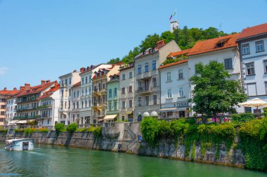 Slovenya 'nın Ljubljanica nehrinin kıyısında.