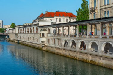 Slovenya 'nın Ljubljana kentindeki Ljubljanica nehrinin kıyısındaki kapalı pazar yeri