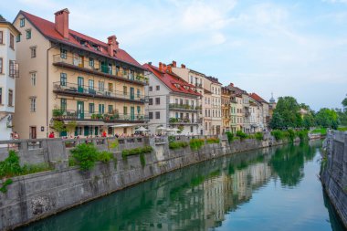 Slovenya 'nın Ljubljanica nehrinin kıyısında.