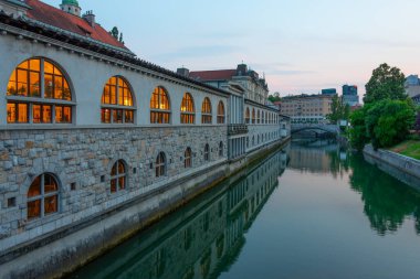 Slovenya 'nın Ljubljana kentindeki Ljubljanica nehrinin kıyısındaki kapalı pazar yeri