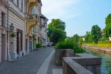 Slovenya 'nın Ljubljanica nehrinin kıyısında.