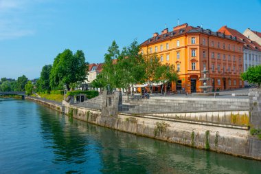 Slovenya 'nın Ljubljanica nehrinin kıyısında.