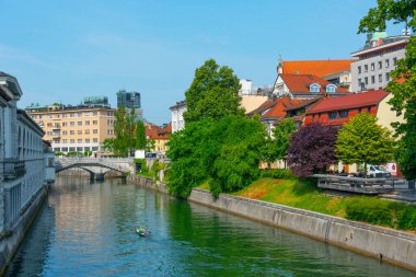 Slovenya 'nın Ljubljanica nehrinin kıyısında.