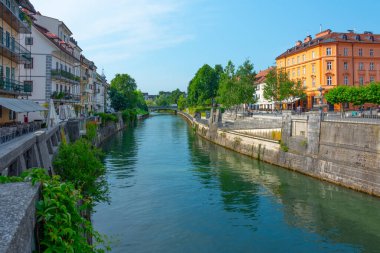 Slovenya 'nın Ljubljanica nehrinin kıyısında.