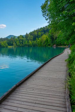 Slovenya 'daki Bled Gölü' ndeki tahta kaldırım.