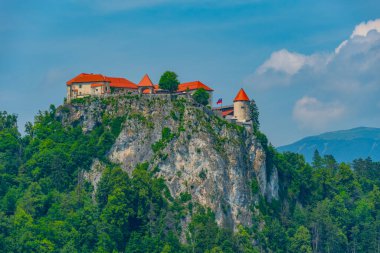 Slovenya 'daki Kanlı Kale Panoraması