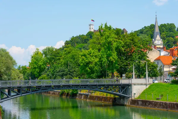 Ljubljanica Nehri ve Ljubljana Şatosu, Slovenya