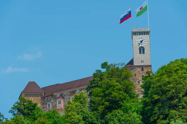 Slovenya 'da güneşli bir günde Ljubljana kalesi