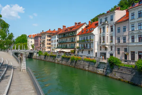 Slovenya 'nın Ljubljanica nehrinin kıyısında.