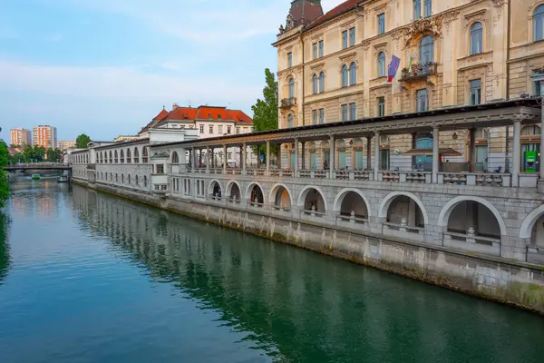 Slovenya 'nın Ljubljana kentindeki Ljubljanica nehrinin kıyısındaki kapalı pazar yeri