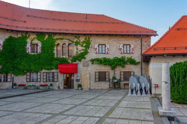 Slovenya Bled kale avlusu