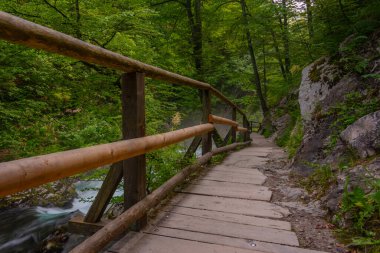 Slovenya 'da yaz sabahı Vintgar Vadisi