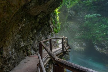 Slovenya 'da yaz sabahı Vintgar Vadisi