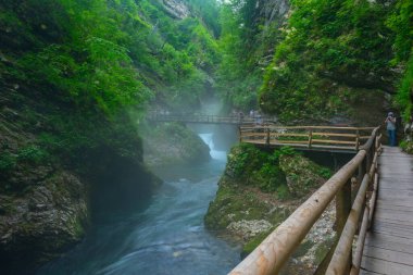 Slovenya 'da yaz sabahı Vintgar Vadisi
